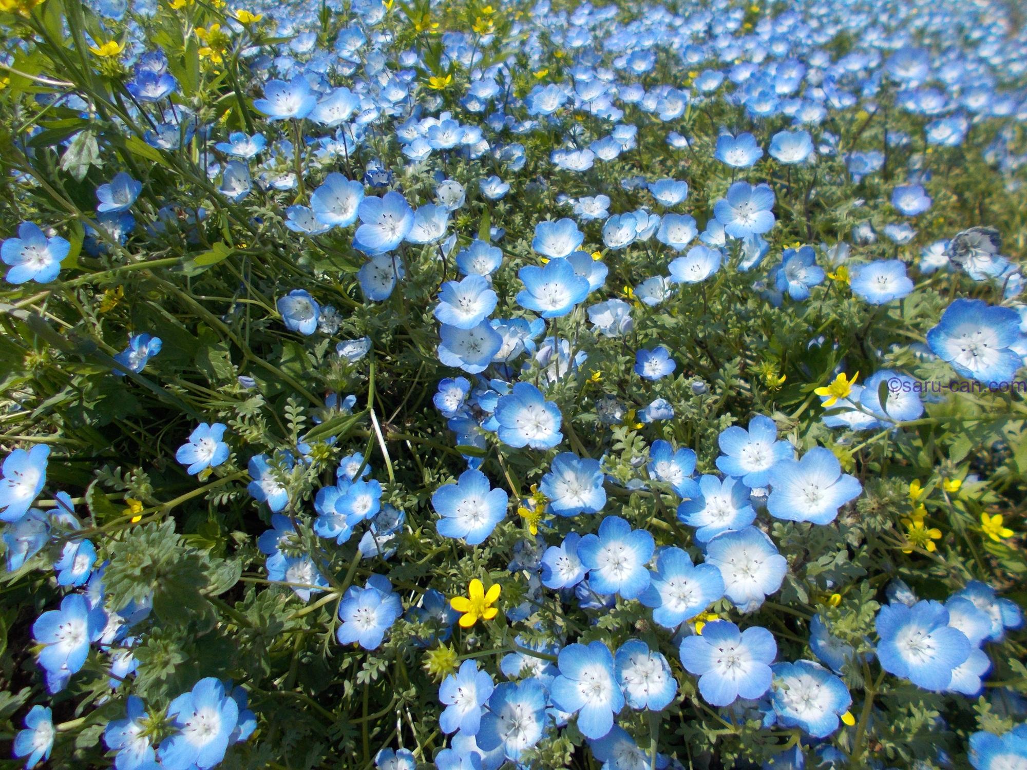 DSCN0187